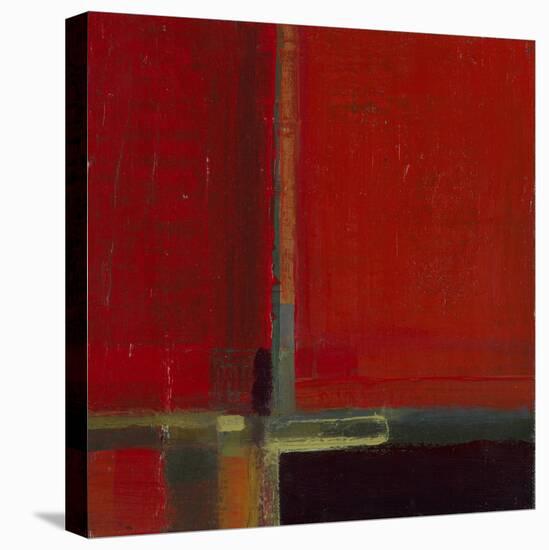 Perspectives in Color Red-Terri Burris-Stretched Canvas