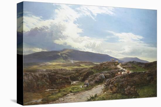 Perthshire Moor-Sidney Richard Percy-Premier Image Canvas