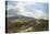 Perthshire Moor-Sidney Richard Percy-Premier Image Canvas