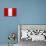 Peru Flag Design with Wood Patterning - Flags of the World Series-Philippe Hugonnard-Stretched Canvas displayed on a wall