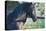 Peruvian Paso Stallion by Fence-DLILLC-Premier Image Canvas