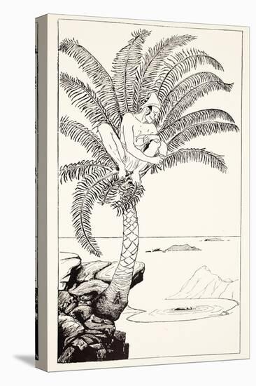 Pestonjee Bomonjee Sitting in His Palm-Tree and Watching the Rhinoceros Strorks Bathing-Rudyard Kipling-Premier Image Canvas