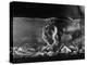 Pet Otter Diving For Frog at Mealtime-Wallace Kirkland-Premier Image Canvas