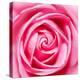 Petal by Petal-Ben Heine-Premier Image Canvas