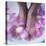 Petals In a Foot Bath-Cristina-Premier Image Canvas