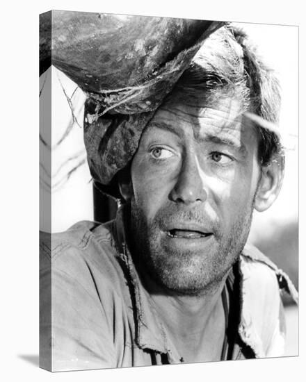 Peter O'Toole - Murphy's War-null-Stretched Canvas