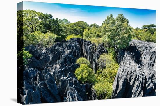 Petit Tsingy De Bemaraha, Madagascar Wilderness Landscape-Artush-Premier Image Canvas