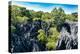 Petit Tsingy De Bemaraha, Madagascar Wilderness Landscape-Artush-Premier Image Canvas