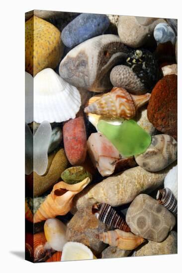 Petoskey Stones I-Michelle Calkins-Stretched Canvas
