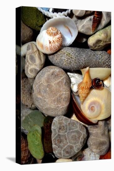 Petoskey Stones II-Michelle Calkins-Stretched Canvas