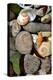 Petoskey Stones II-Michelle Calkins-Stretched Canvas