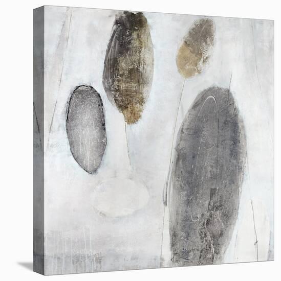 Petoskey Stones-Clayton Rabo-Premier Image Canvas