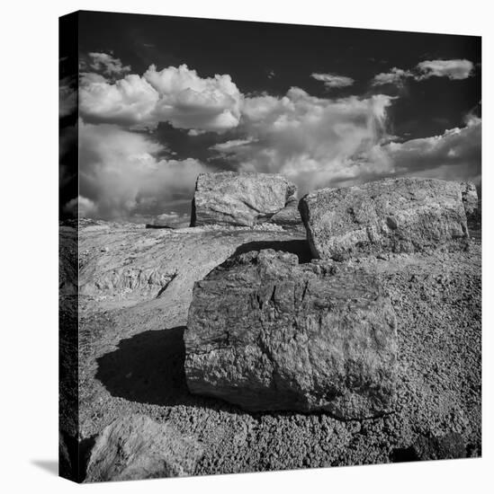 Petrified Forest National Park, Arizona-Jerry Ginsberg-Premier Image Canvas