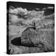 Petrified Forest National Park, Arizona-Jerry Ginsberg-Premier Image Canvas