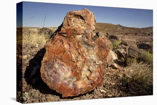 Petrified Log, Crystal Forest, Petrified Forest National Park, Arizona-Rob Sheppard-Premier Image Canvas