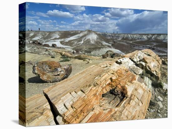 Petrified Logs Exposed by Erosion, Painted Desert and Petrified Forest, Arizona, Usa May 2007-Philippe Clement-Premier Image Canvas