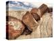 Petrified Logs-Joe McDonald-Premier Image Canvas