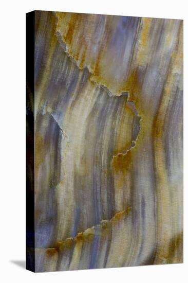 Petrified Wood Close-Up-Darrell Gulin-Premier Image Canvas