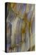 Petrified Wood Close-Up-Darrell Gulin-Premier Image Canvas