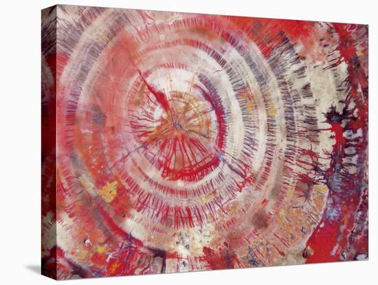 Petrified Wood, Close-Up-moodboard-Premier Image Canvas