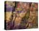 Petrified Wood II-Danny Burk-Stretched Canvas