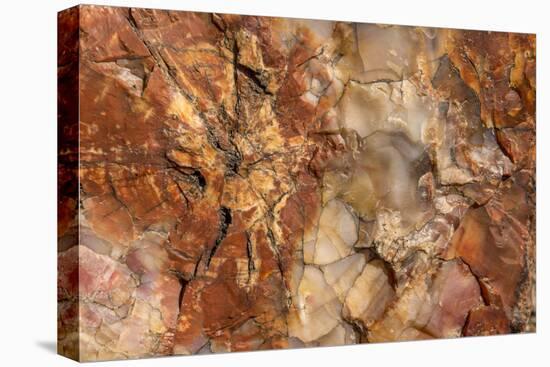 Petrified Wood in Crystal Forest, Petrified Forest NP, Arizona-Rob Sheppard-Premier Image Canvas