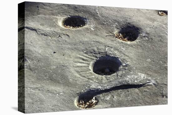 Petroglyph and Bedrock Mortar Holes, or Chaw’se, Used by Miwok to Grind Acorns and Seeds, CA-null-Premier Image Canvas