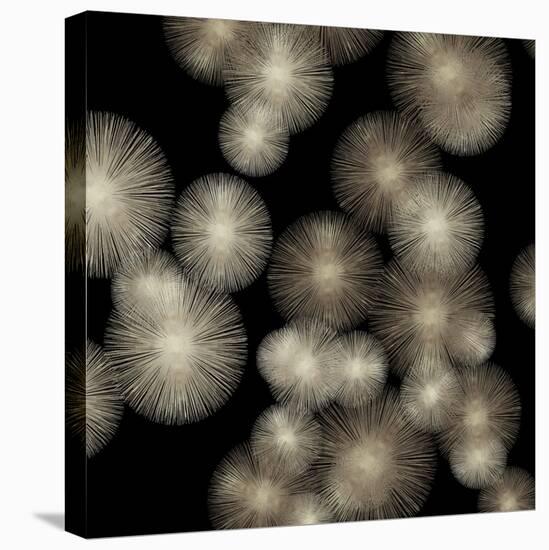 Pewter Sunbursts-Abby Young-Stretched Canvas