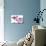 Phalaenopsis Hilo Pink1-Fabio Petroni-Premier Image Canvas displayed on a wall