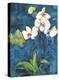 Phalaenopsis II-Connie Tunick-Stretched Canvas