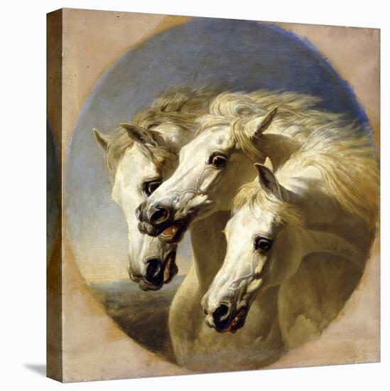 Pharaoh's Horses, 1848-John Frederick Herring I-Premier Image Canvas