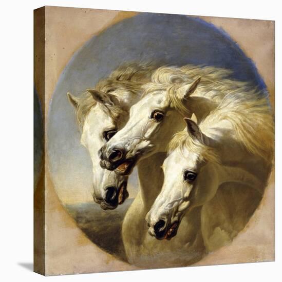 Pharaoh's Horses-John Frederick Herring I-Premier Image Canvas