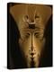 Pharaohs of the Sun, Sandstone Image of Akhenaten at Karnak, Egypt-Kenneth Garrett-Premier Image Canvas