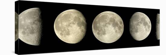 Phases of the Moon-Pekka Parviainen-Premier Image Canvas