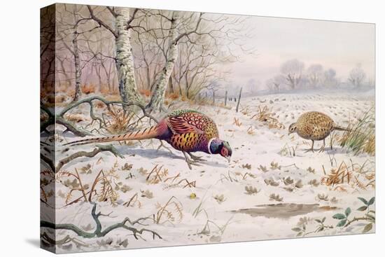 Pheasant and Partridge Eating-Carl Donner-Premier Image Canvas