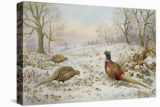 Pheasant and Partridges in a Snowy Landscape-Carl Donner-Premier Image Canvas