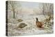 Pheasant and Partridges in a Snowy Landscape-Carl Donner-Premier Image Canvas