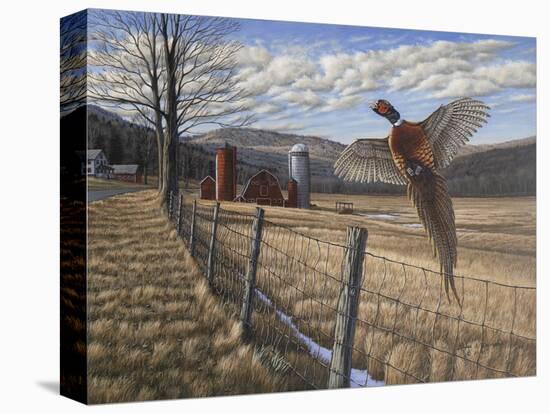 Pheasant-Bruce Dumas-Premier Image Canvas