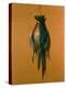 Pheasants, 1984-Lincoln Taber-Premier Image Canvas