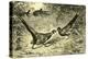 Pheasants Austria 1891-null-Premier Image Canvas