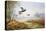 Pheasants in Flight-Carl Donner-Premier Image Canvas