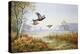 Pheasants in Flight-Carl Donner-Premier Image Canvas