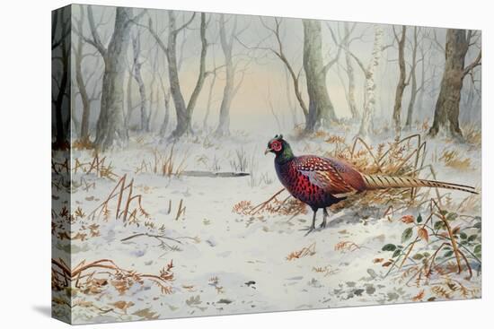 Pheasants in Snow-Carl Donner-Premier Image Canvas