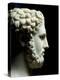 Philip II of Macedon 382-336 BC, Father of Alexander the Great-null-Premier Image Canvas