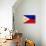 Philippines Flag Design with Wood Patterning - Flags of the World Series-Philippe Hugonnard-Stretched Canvas displayed on a wall