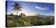 Philippines, Southeastern Luzon, Bicol, Mayon Volcano-Michele Falzone-Premier Image Canvas