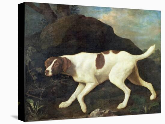 Phillis, a Pointer of Lord Clermont's, 1772-George Stubbs-Premier Image Canvas
