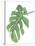Philodendron 3-Jenny Kraft-Stretched Canvas