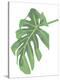 Philodendron 3-Jenny Kraft-Stretched Canvas