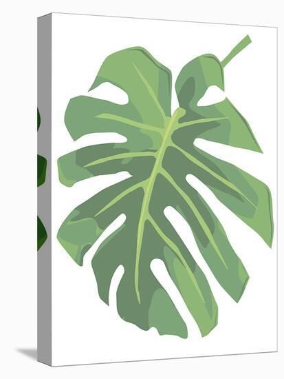 Philodendron I-Jenny Kraft-Stretched Canvas